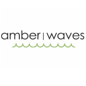Amber Waves Art of Hair Salon
